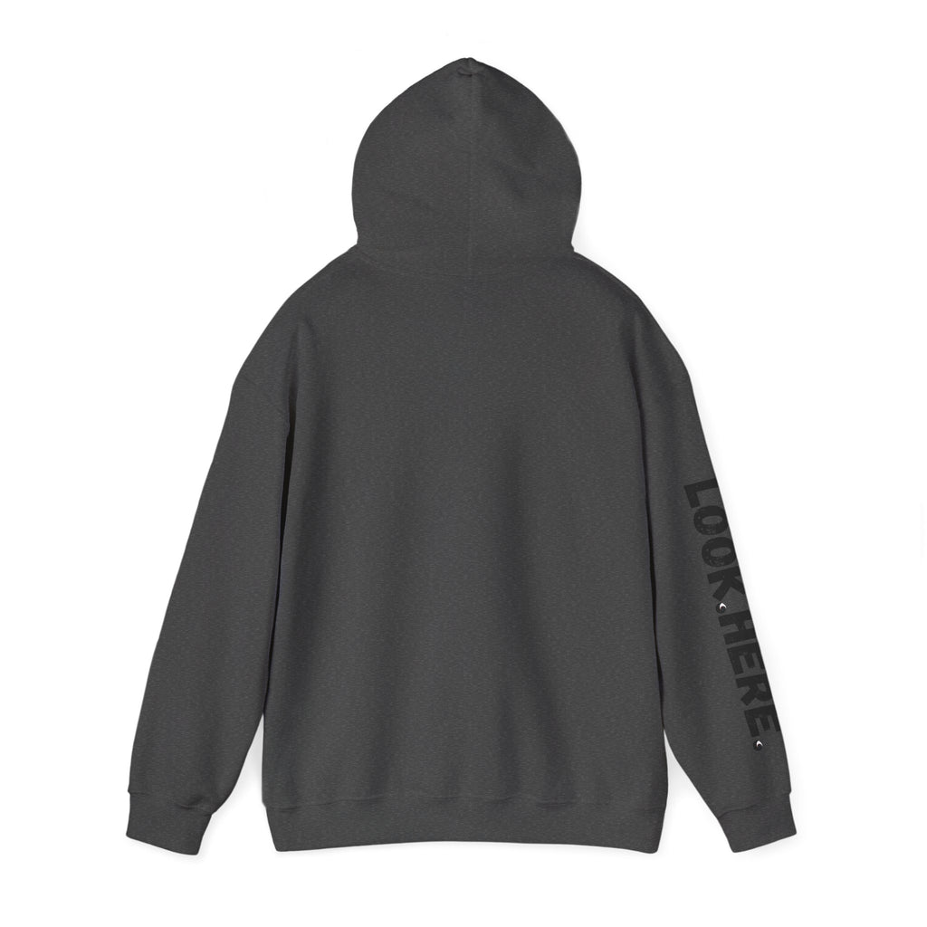 Look.Here. Pay Attention Hoodie