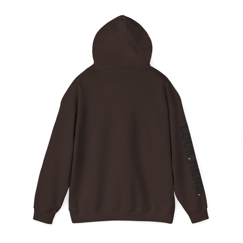 Look.Here. Pay Attention Hoodie
