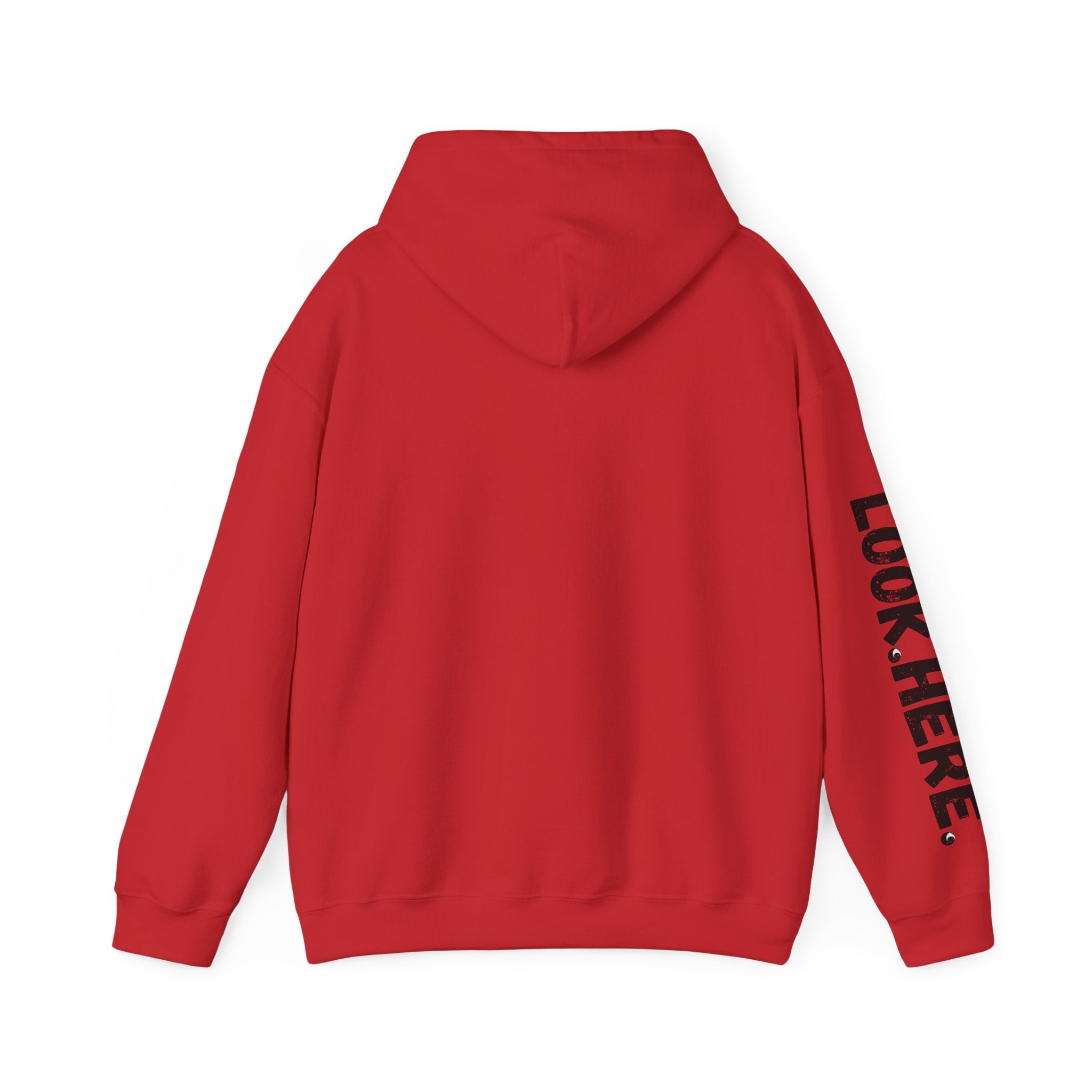 Look.Here. Pay Attention Hoodie