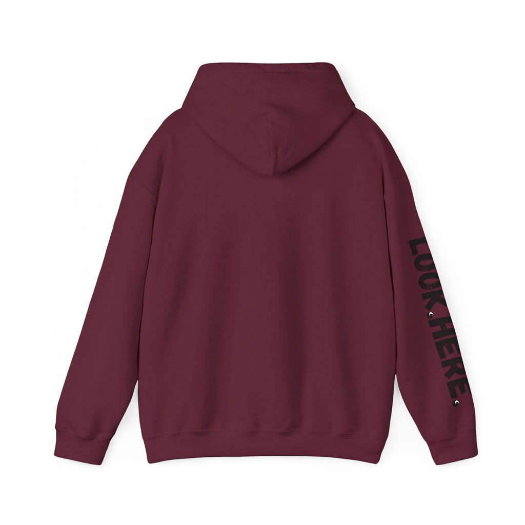 Look.Here. Pay Attention Hoodie