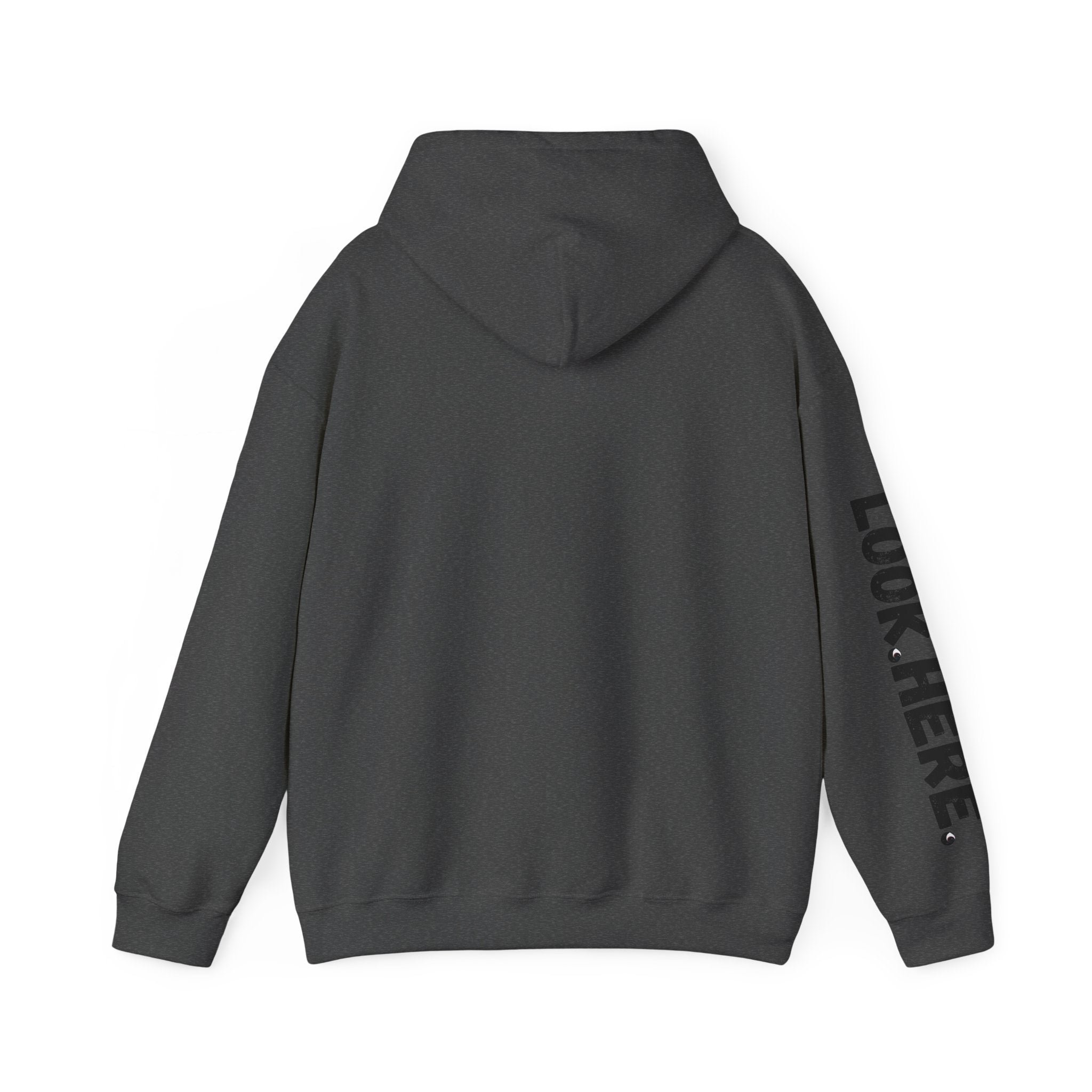 Look.Here. Pay Attention Hoodie